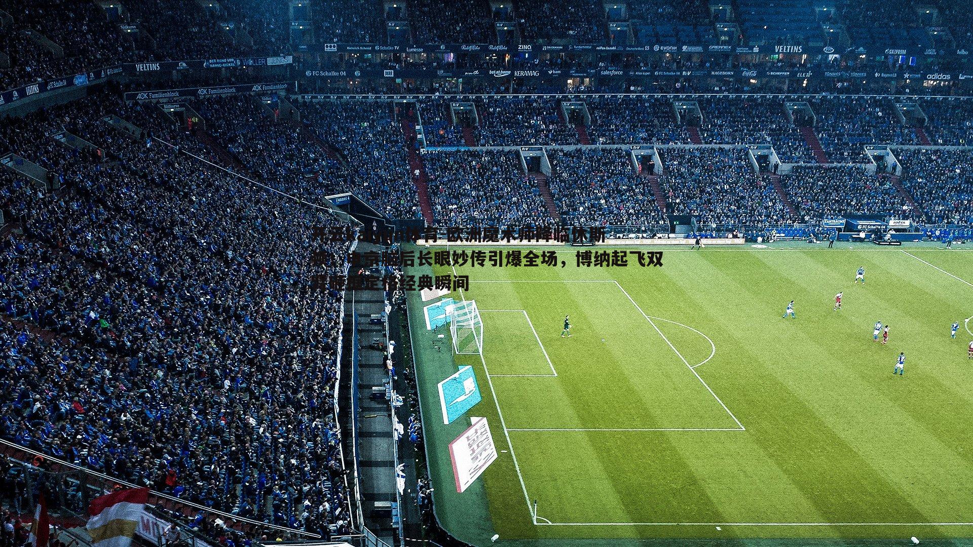 欧洲魔术师降临休斯顿!申京脑后长眼妙传引爆全场,博纳起飞双臂砸框定格经典瞬间